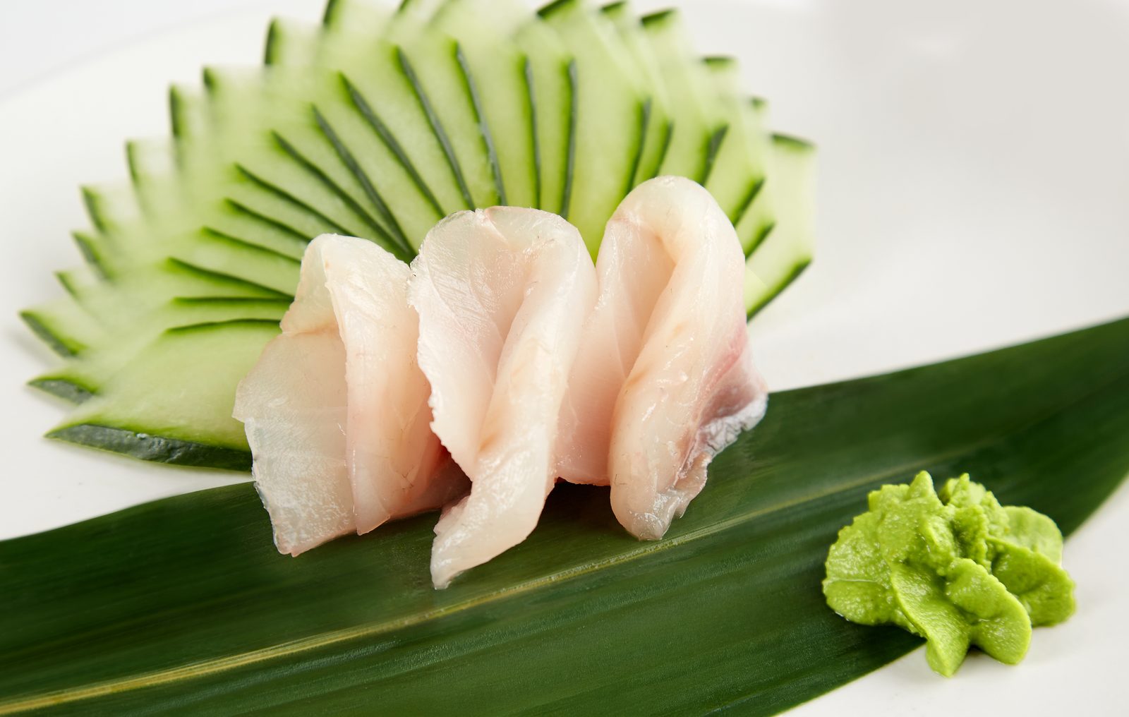 Suzuki Sashimi